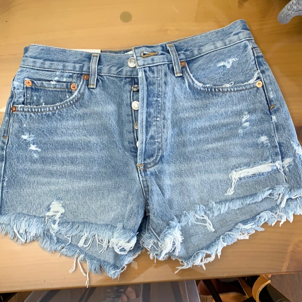 NWT Agolde Parker vintage shorts, swapmeet color